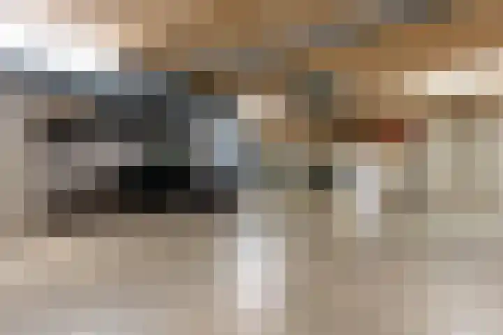 Ledig Erf 16 Utrecht thumbnail 29