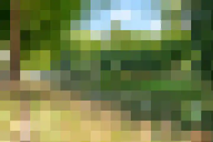 Ledig Erf 16 Utrecht thumbnail 35