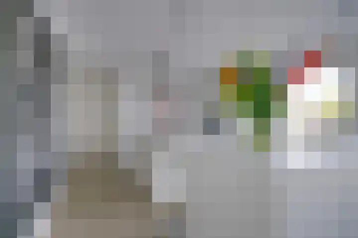 Ledig Erf 16 Utrecht thumbnail 9
