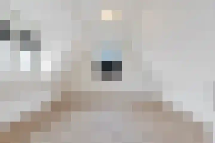 Ledig Erf 4 Monnickendam thumbnail 14