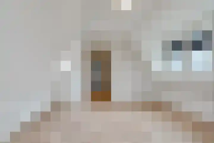Ledig Erf 4 Monnickendam thumbnail 15