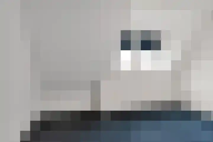 Ledig Erf 4 Monnickendam thumbnail 17