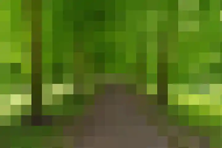 Ledig Erf 4 Monnickendam thumbnail 29