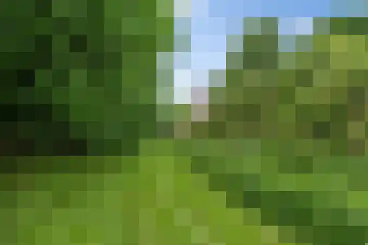 Ledig Erf 4 Monnickendam thumbnail 31