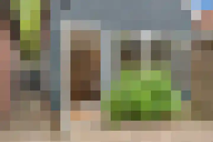Ledig Erf 4 Monnickendam thumbnail 4