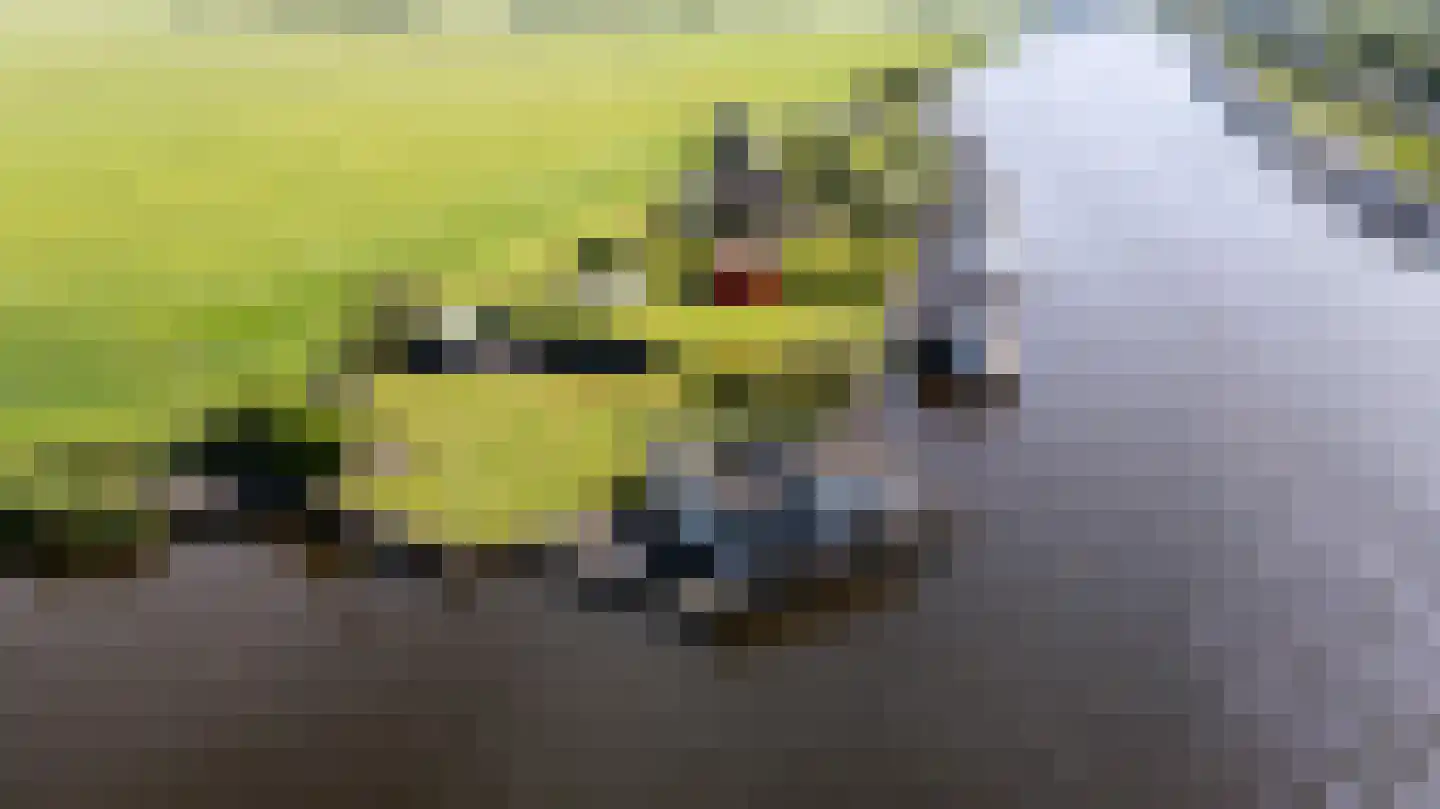 Leechlân 8001 Grou