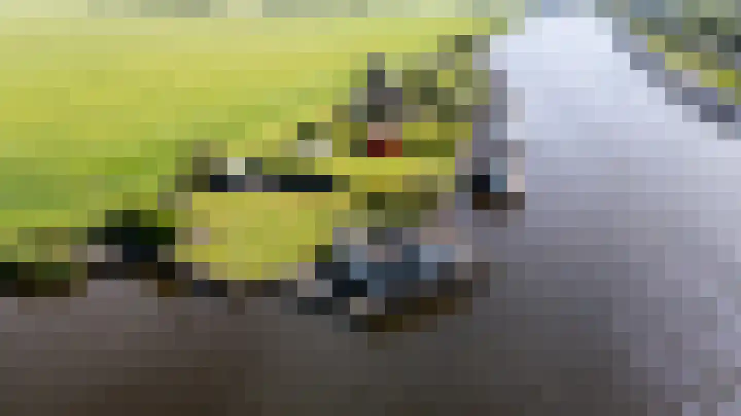 Leechlân 8001 Grou