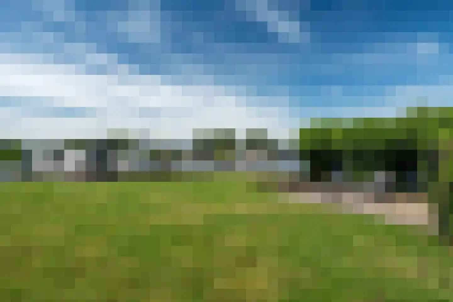 Leechlân 8001 Grou thumbnail 17