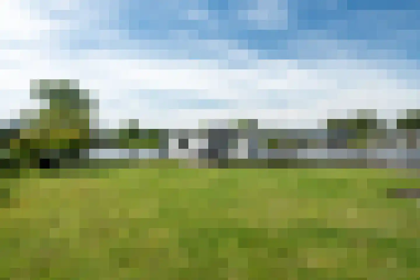 Leechlân 8001 Grou thumbnail 18