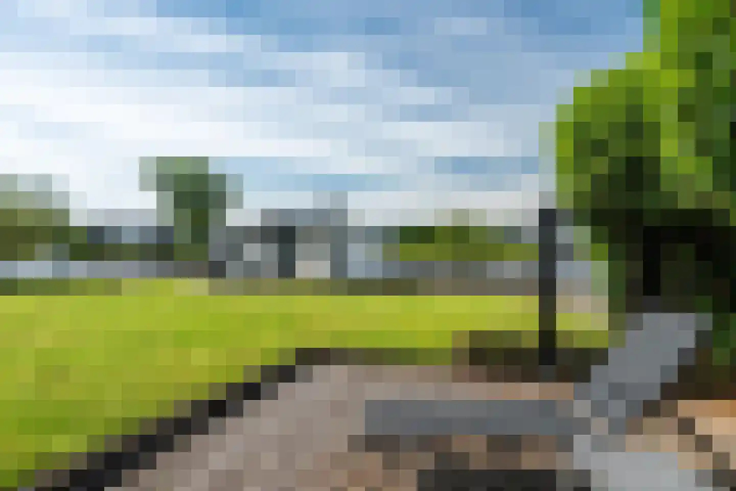 Leechlân 8001 Grou thumbnail 23