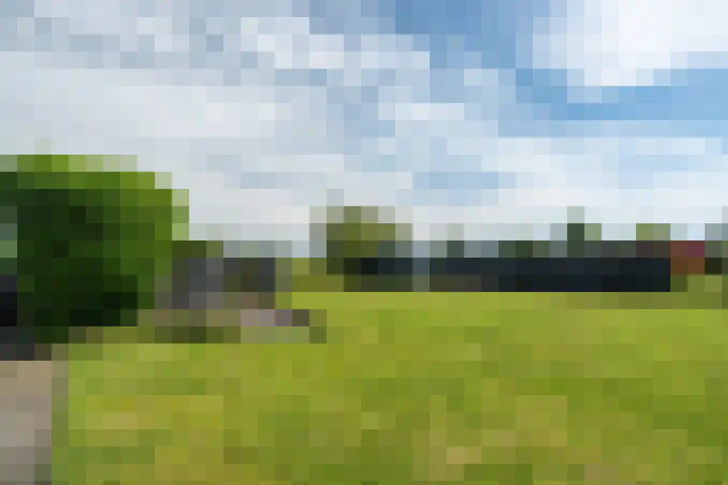 Leechlân 8001 Grou thumbnail 25