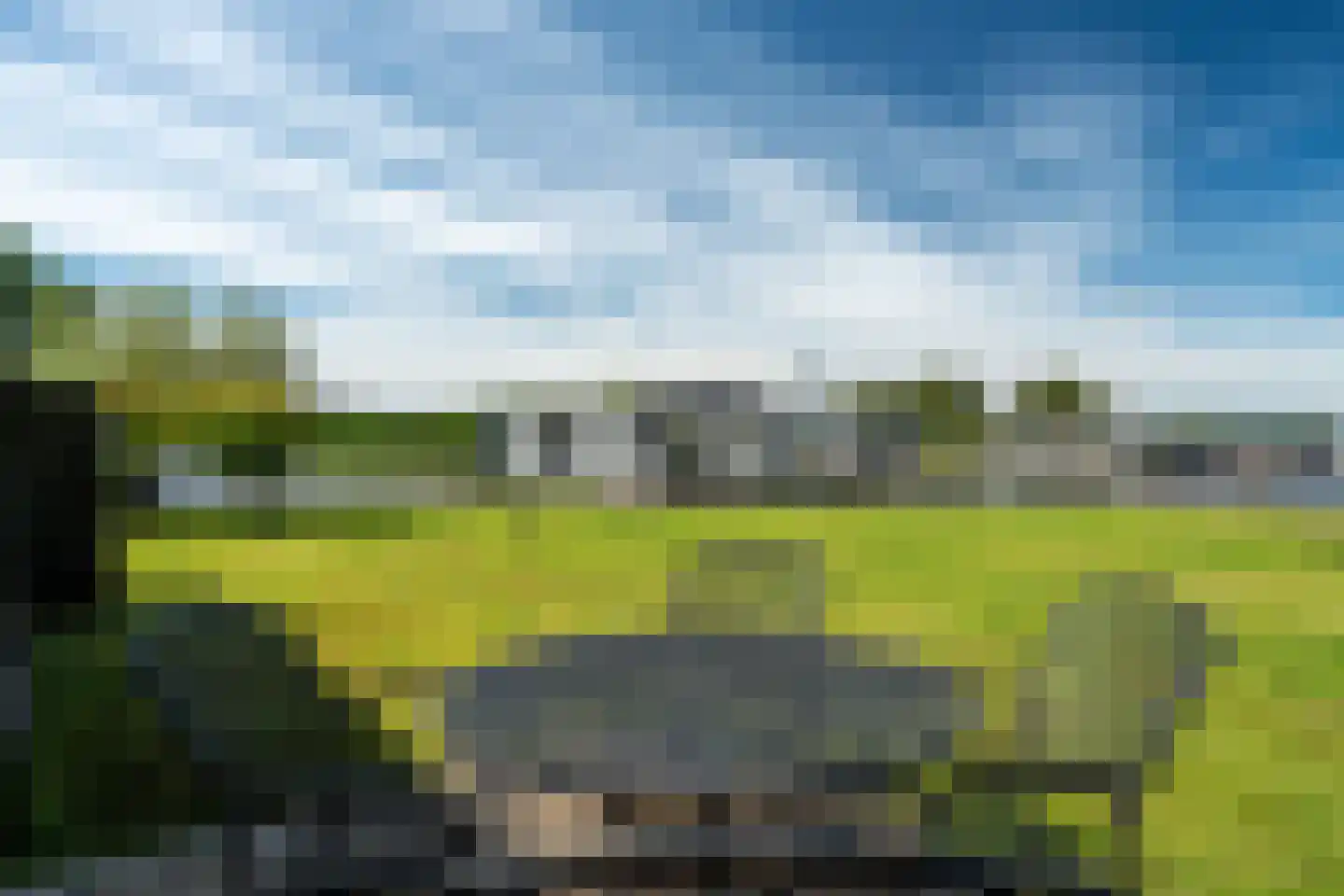 Leechlân 8001 Grou thumbnail 26