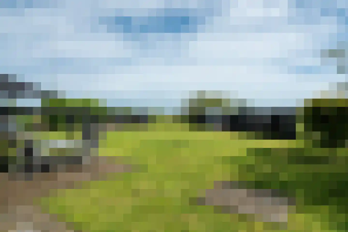 Leechlân 8001 Grou thumbnail 29