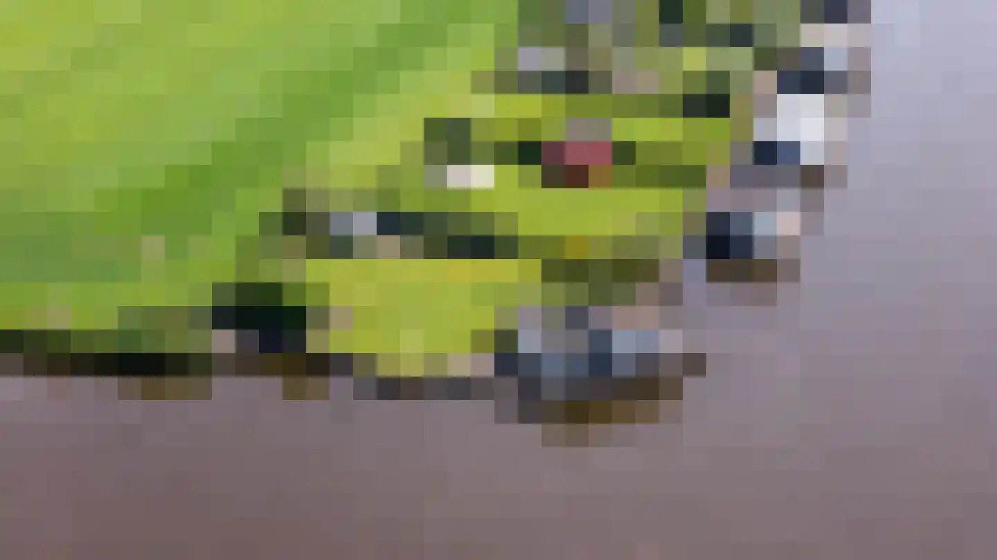 Leechlân 8001 Grou thumbnail 30
