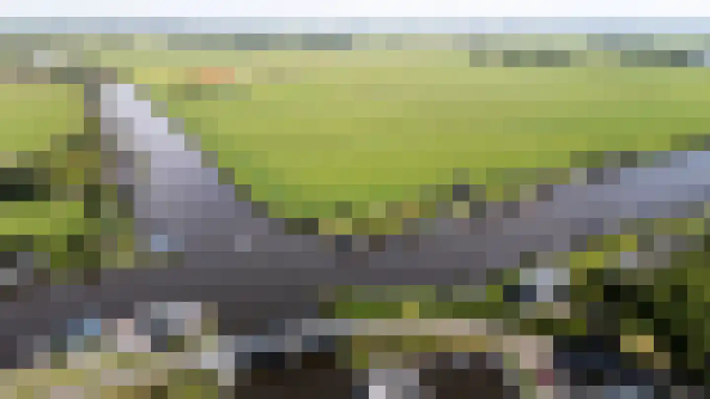 Leechlân 8001 Grou thumbnail 31