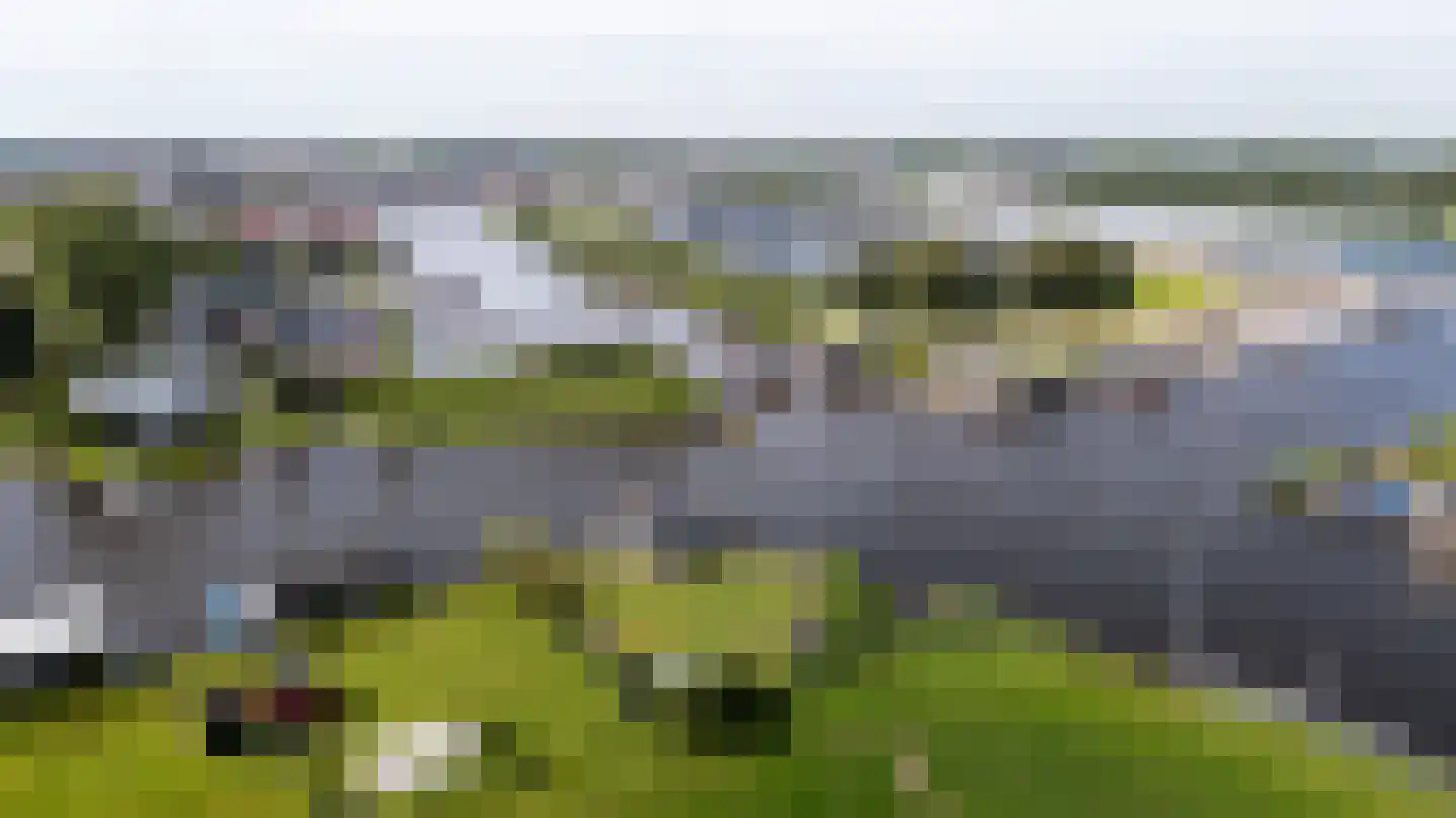 Leechlân 8001 Grou thumbnail 32
