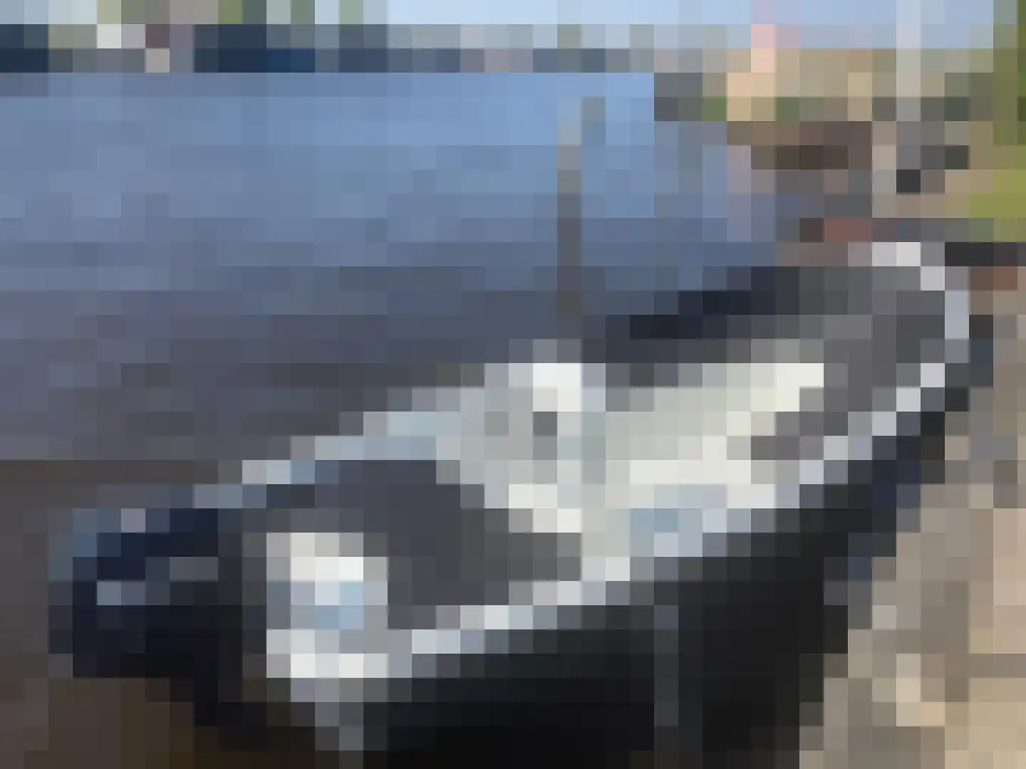 Leechlân 8001 Grou thumbnail 35