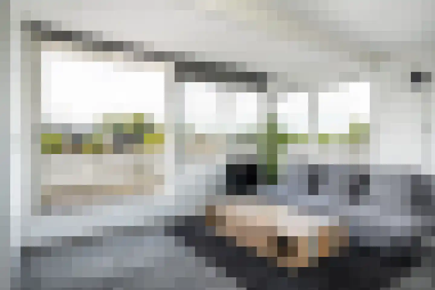 Leechlân 8001 Grou thumbnail 5