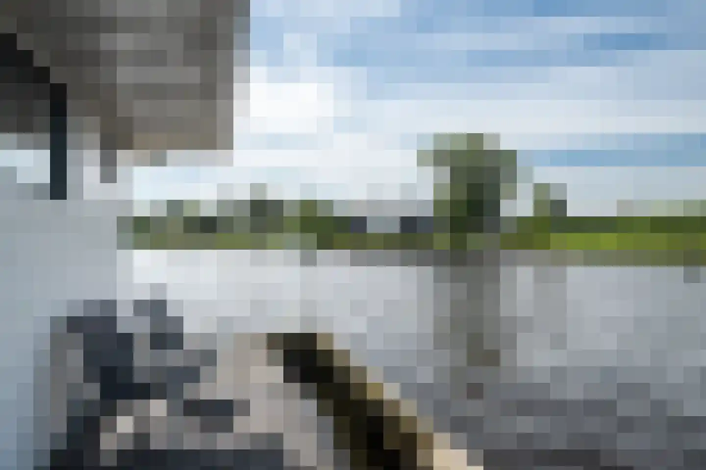 Leechlân 8001 Grou thumbnail 7