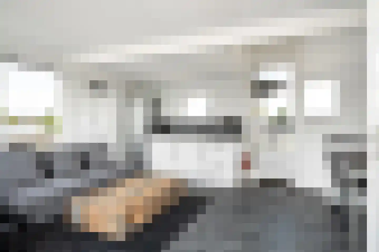Leechlân 8001 Grou thumbnail 9