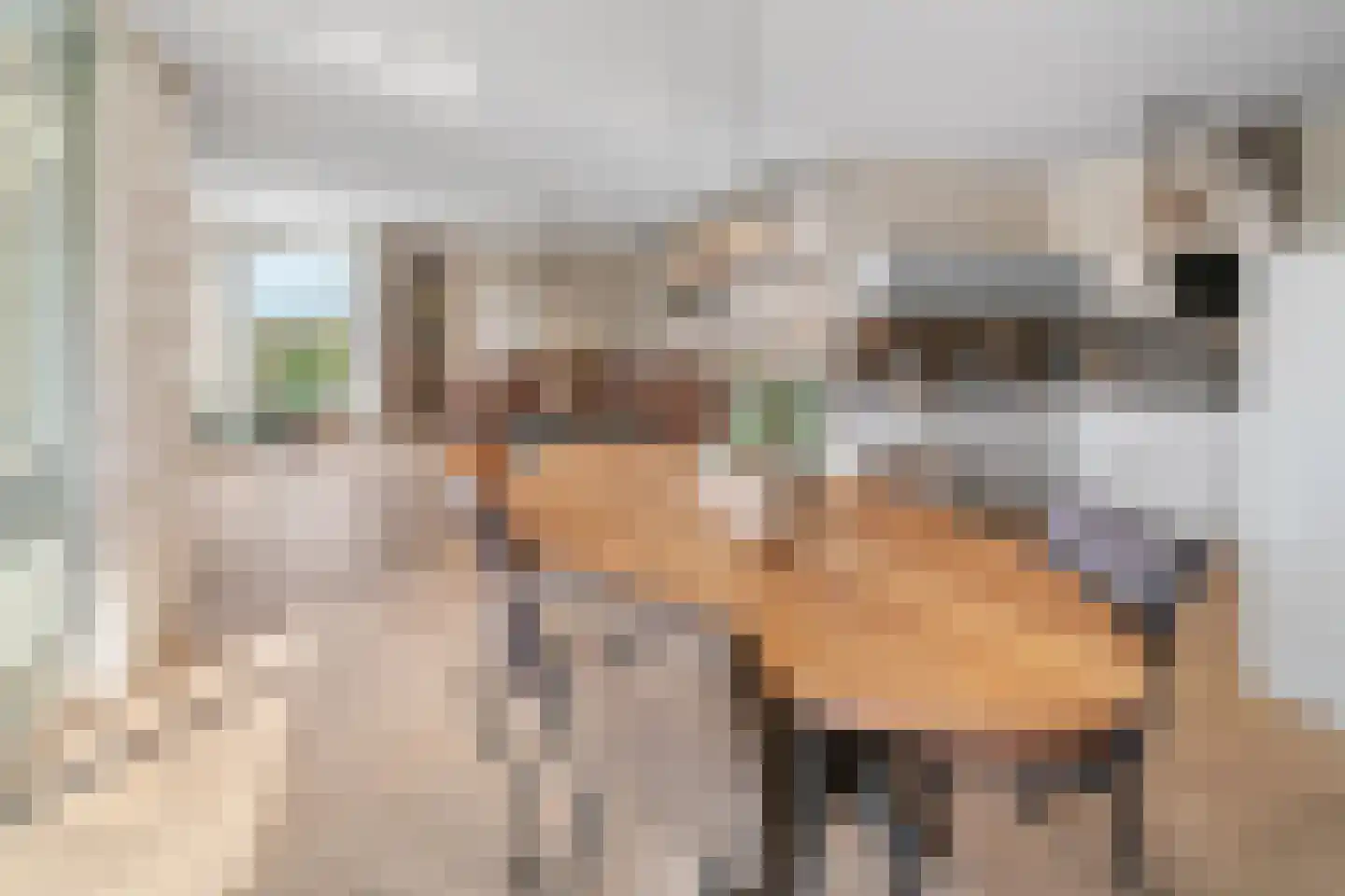 Leede 10 Roosendaal thumbnail 10