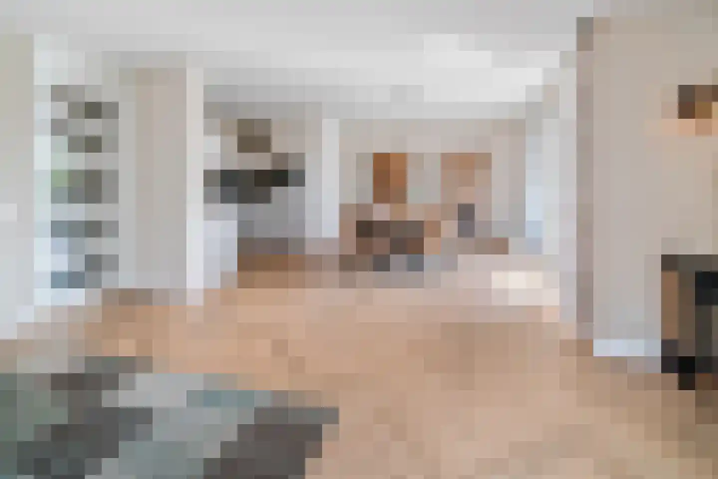 Leede 10 Roosendaal thumbnail 8