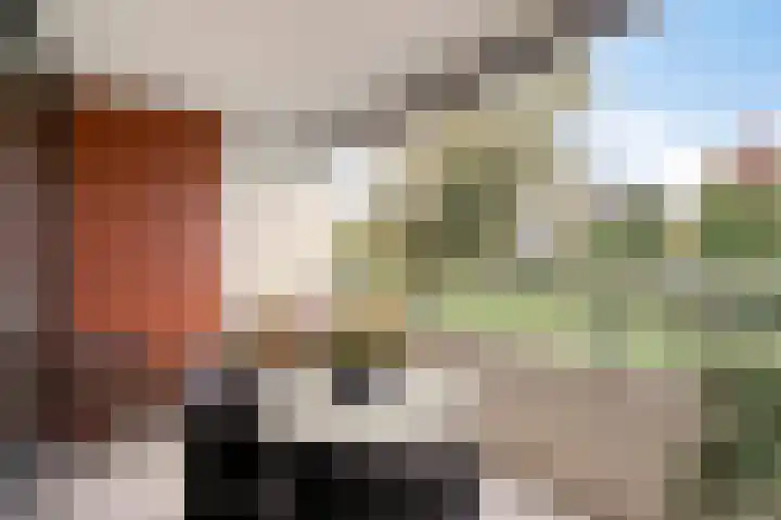 Leede 24 Roosendaal thumbnail 30