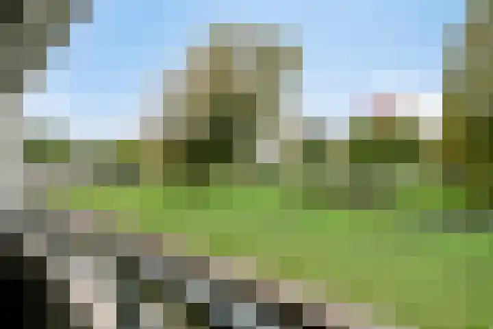 Leede 24 Roosendaal thumbnail 31