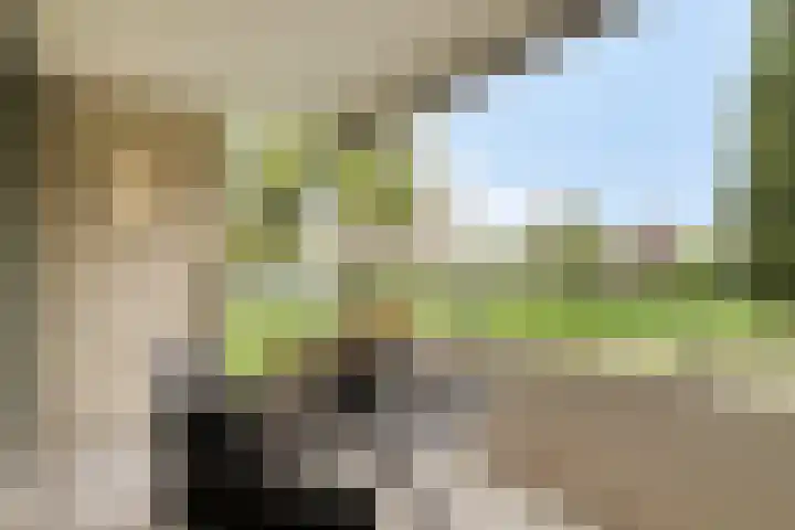 Leede 24 Roosendaal thumbnail 38
