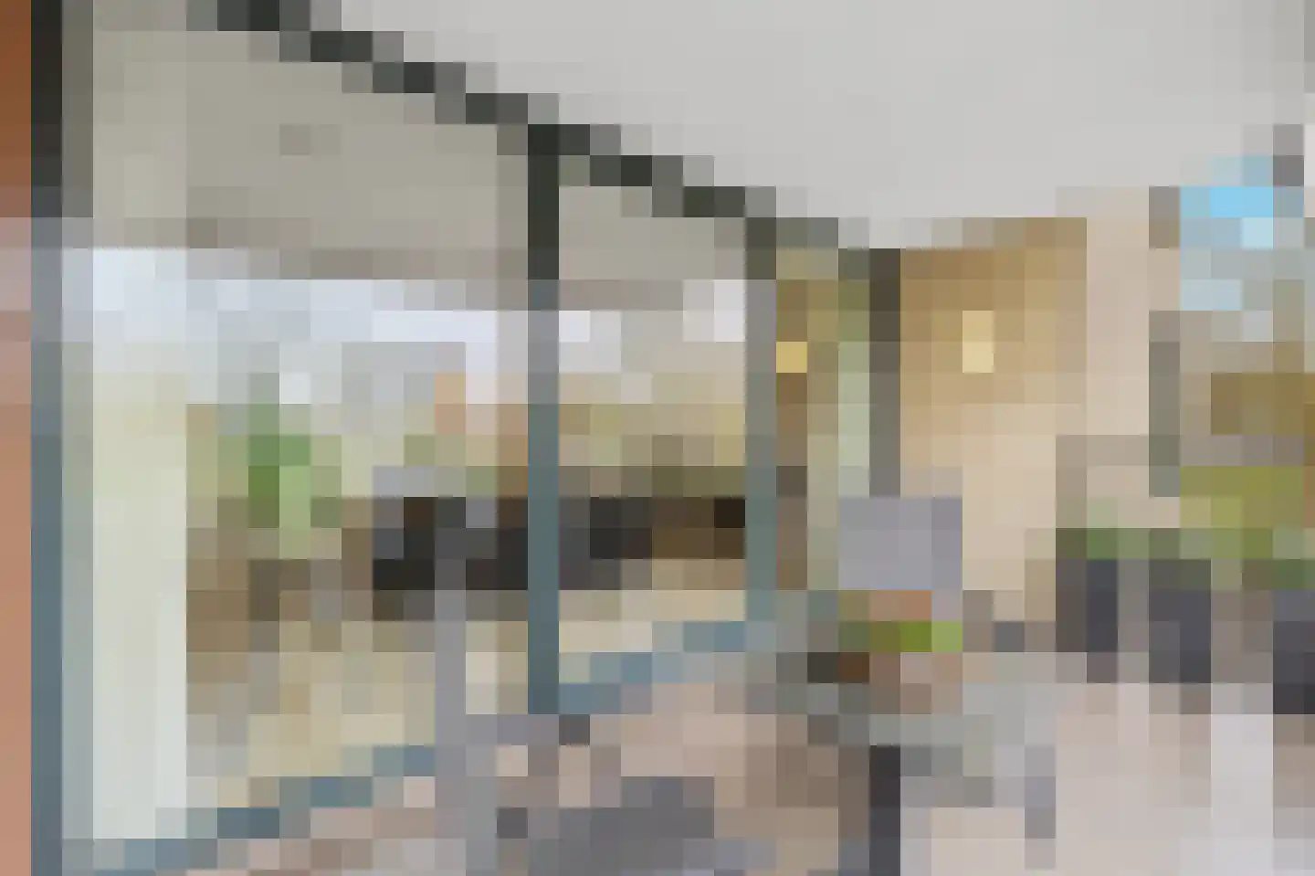 Leede 5 Roosendaal thumbnail 34