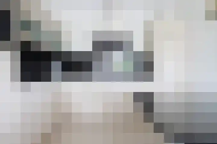 Leede 6 Roosendaal thumbnail 12