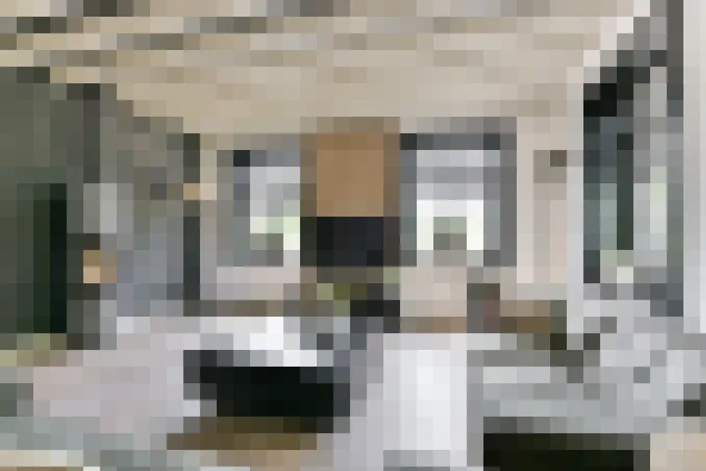 Leedijkerhout 13 Houten thumbnail 10