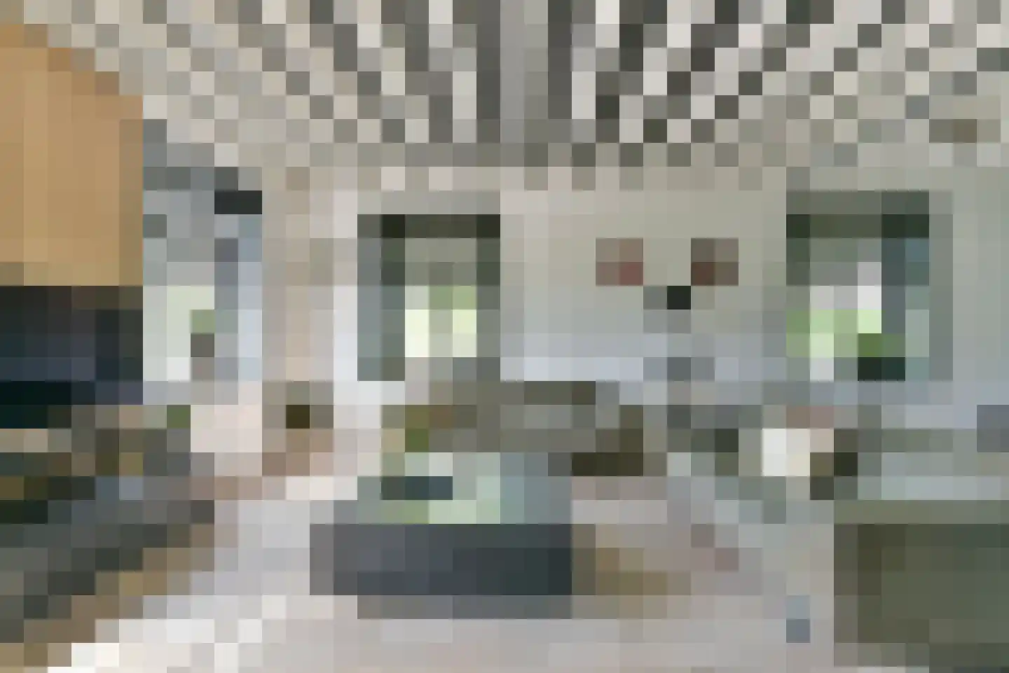 Leedijkerhout 13 Houten thumbnail 11