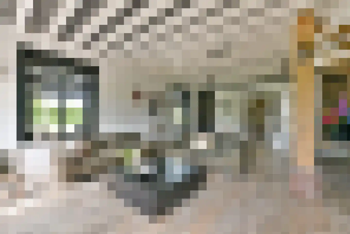 Leedijkerhout 13 Houten thumbnail 13