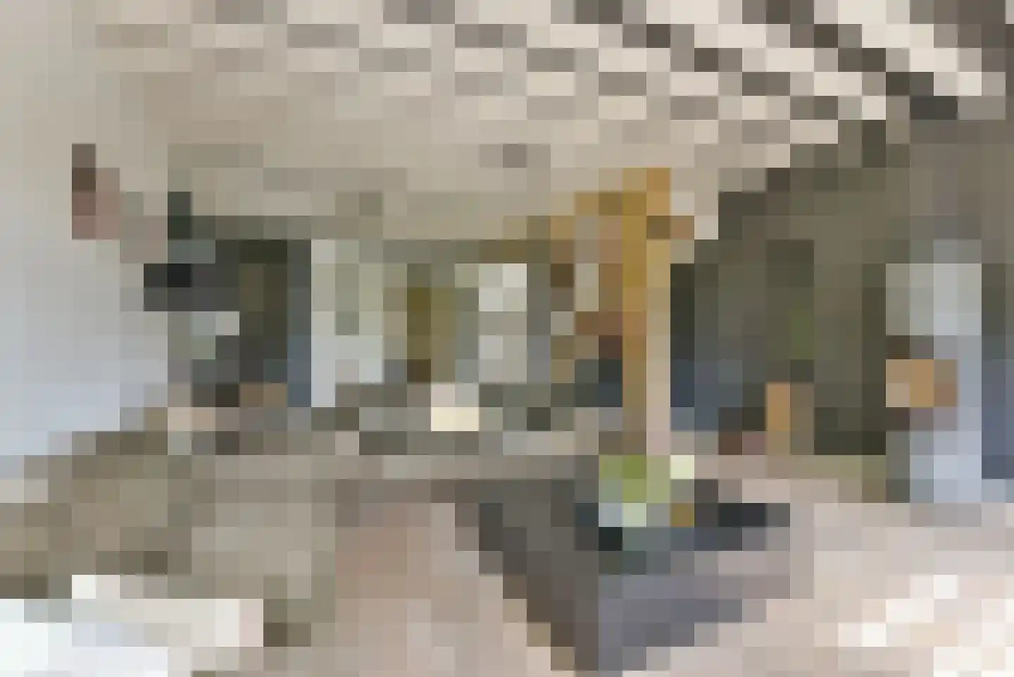 Leedijkerhout 13 Houten thumbnail 15