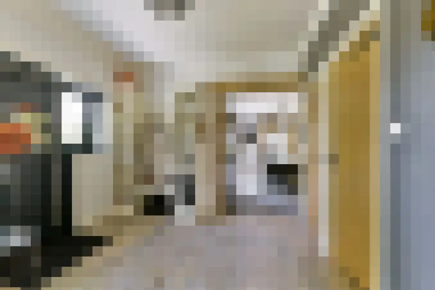 Leedijkerhout 13 Houten thumbnail 16