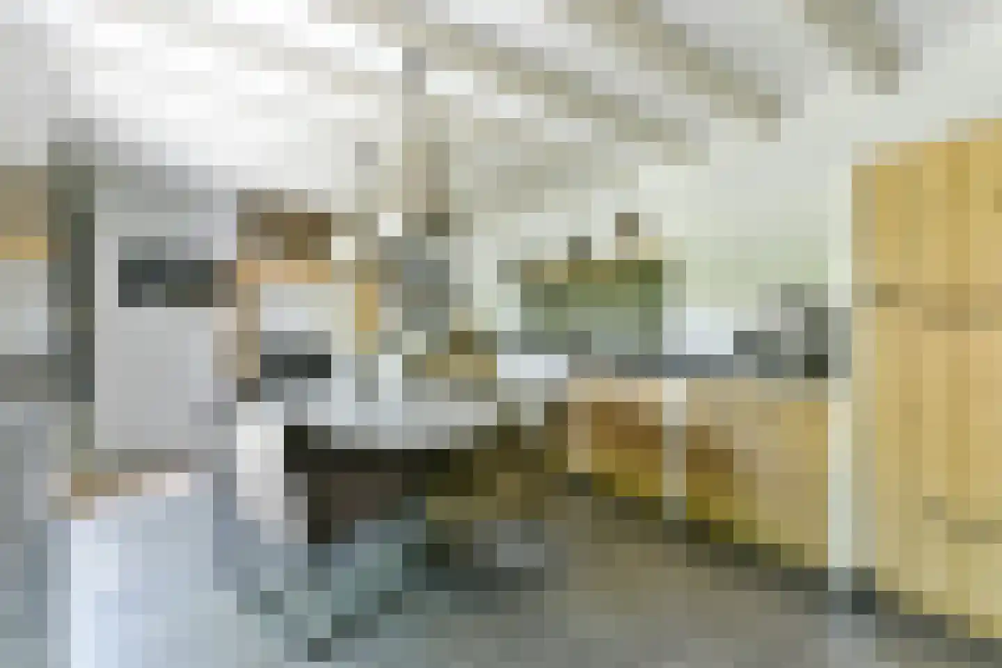 Leedijkerhout 13 Houten thumbnail 18