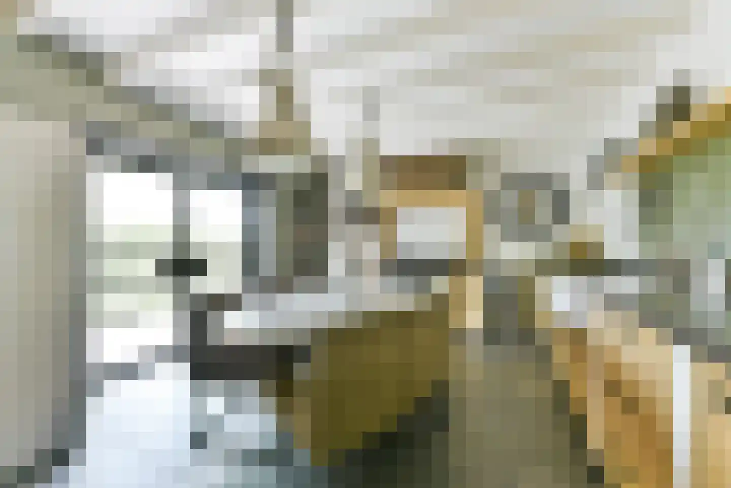 Leedijkerhout 13 Houten thumbnail 19