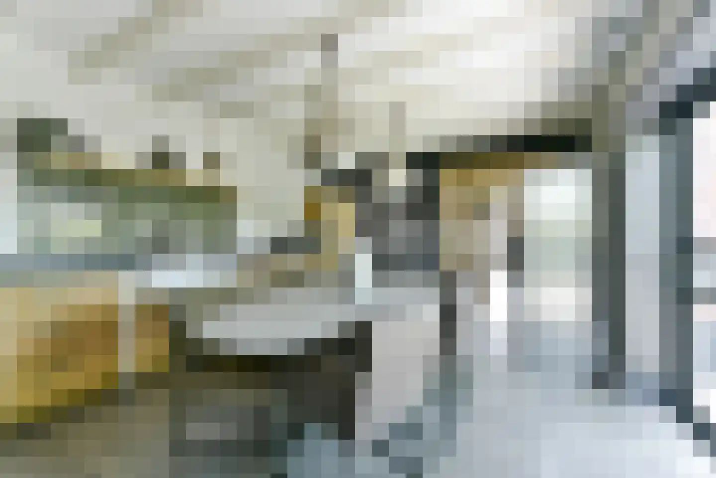 Leedijkerhout 13 Houten thumbnail 20