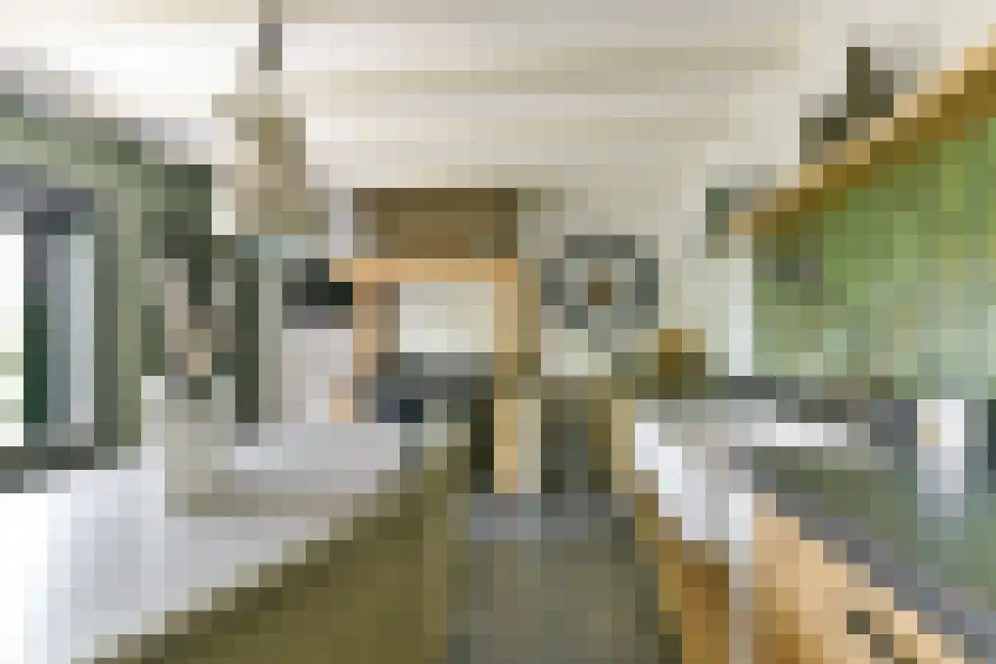 Leedijkerhout 13 Houten thumbnail 22