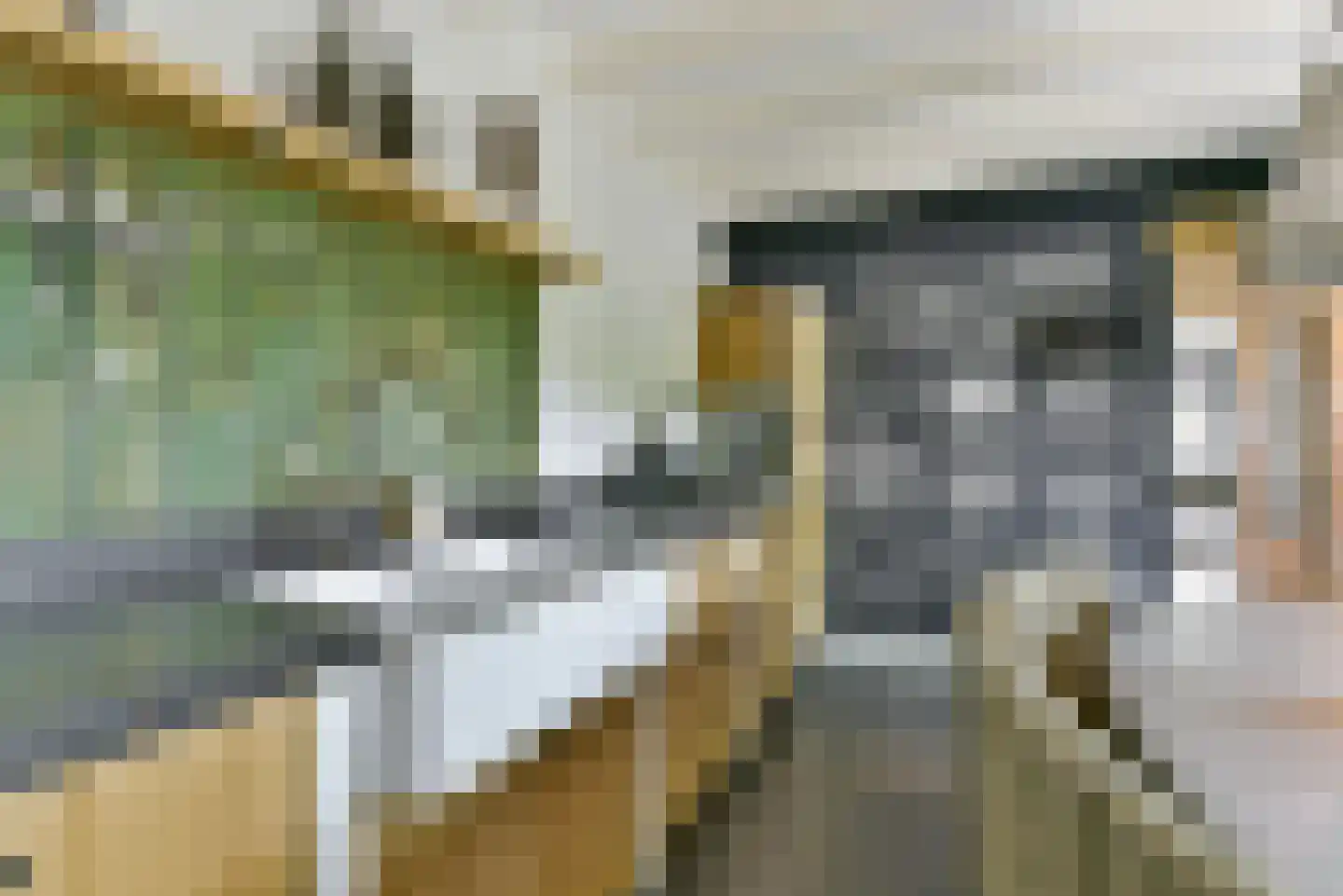 Leedijkerhout 13 Houten thumbnail 23