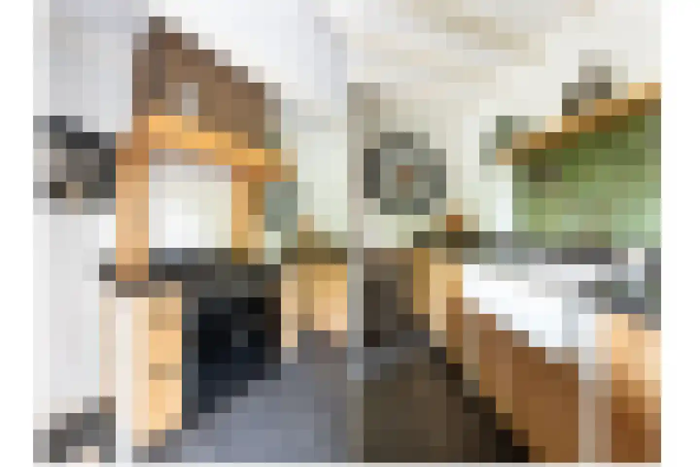 Leedijkerhout 13 Houten thumbnail 24