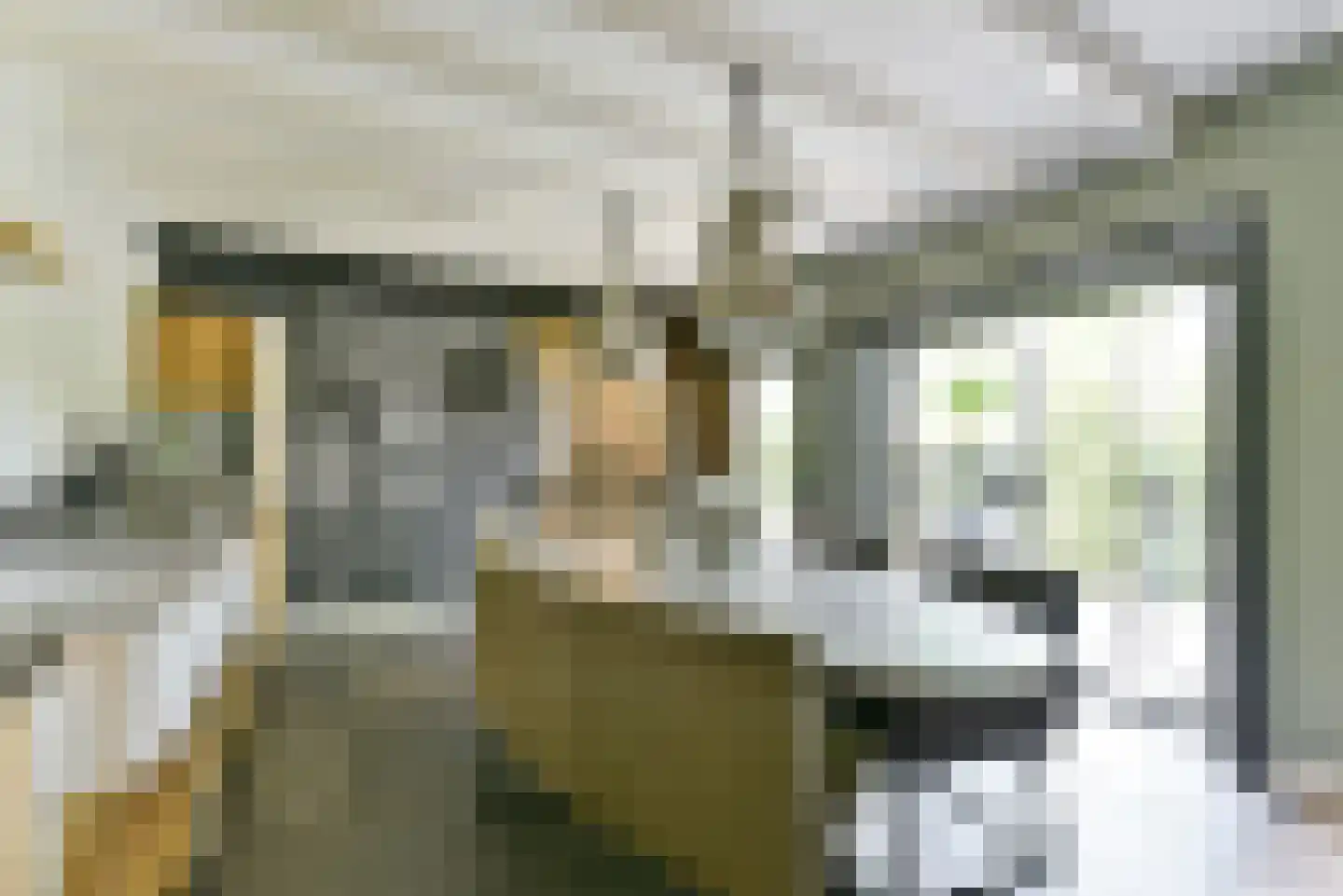 Leedijkerhout 13 Houten thumbnail 25
