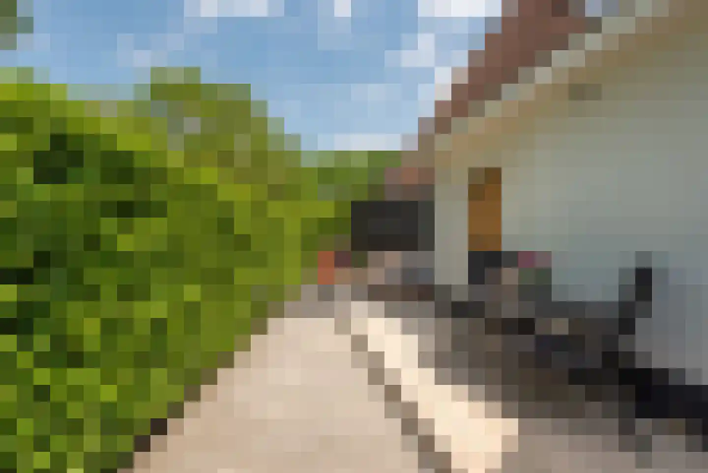 Leedijkerhout 13 Houten thumbnail 28