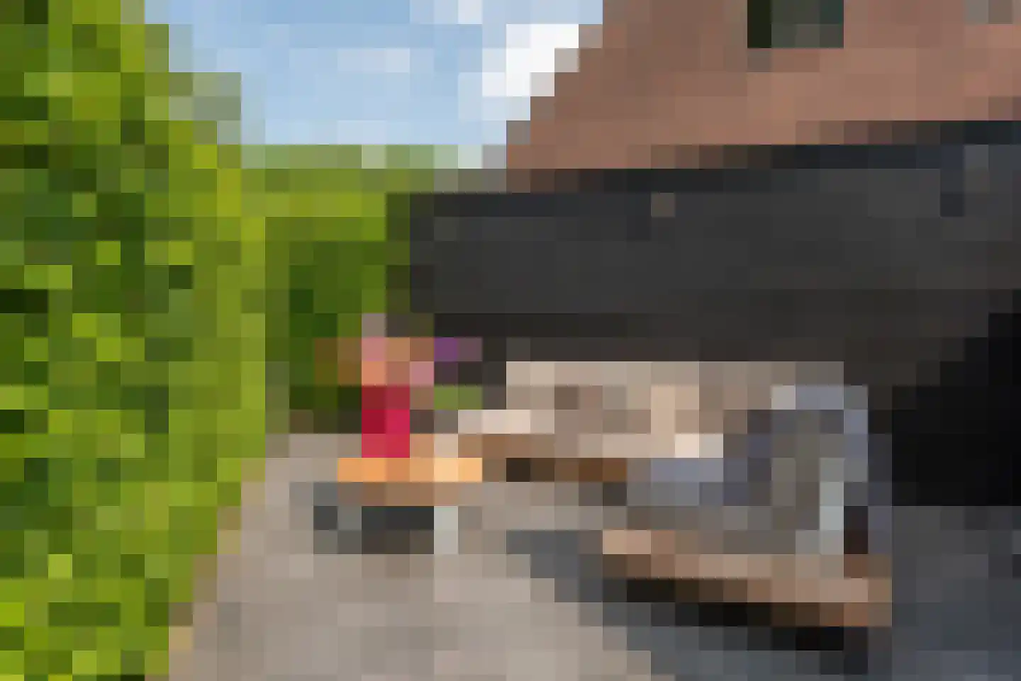 Leedijkerhout 13 Houten thumbnail 29