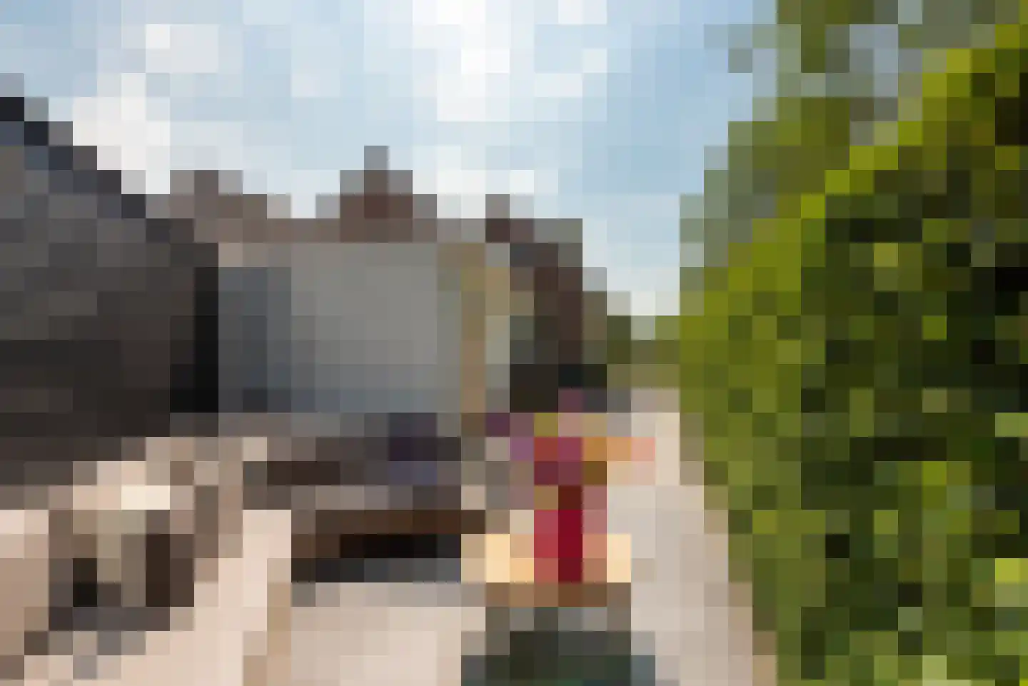 Leedijkerhout 13 Houten thumbnail 31