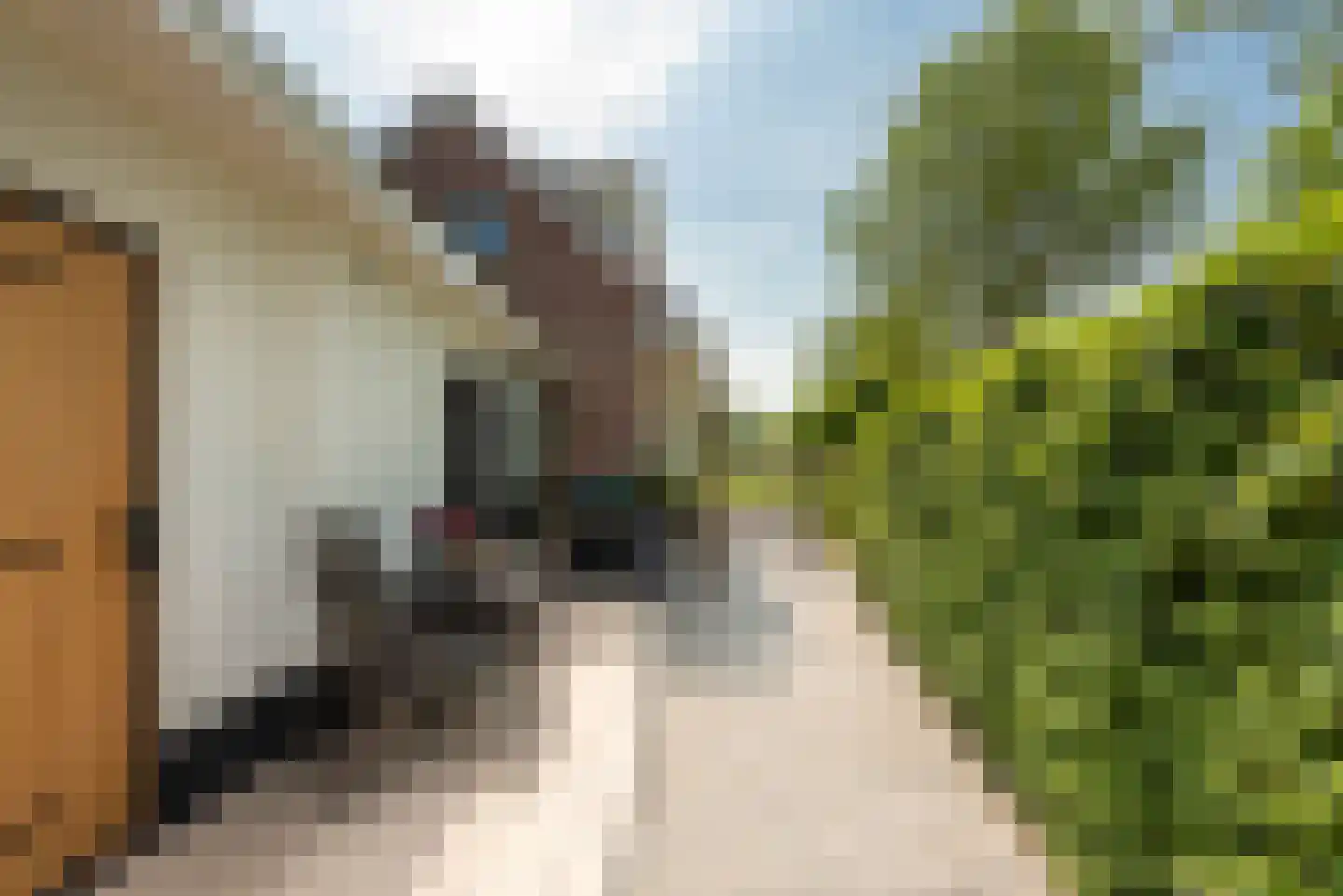 Leedijkerhout 13 Houten thumbnail 32