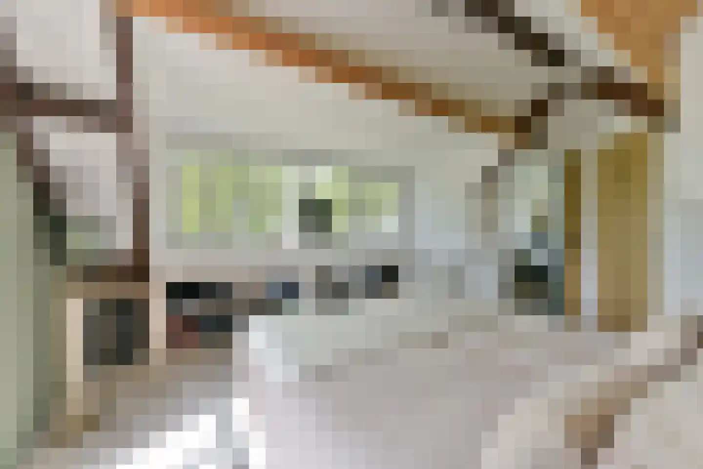 Leedijkerhout 13 Houten thumbnail 35