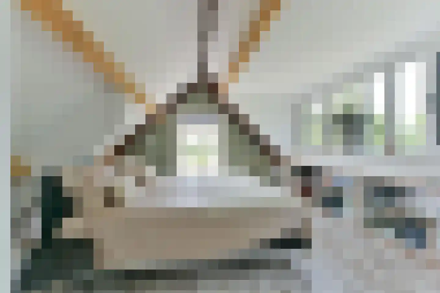 Leedijkerhout 13 Houten thumbnail 36