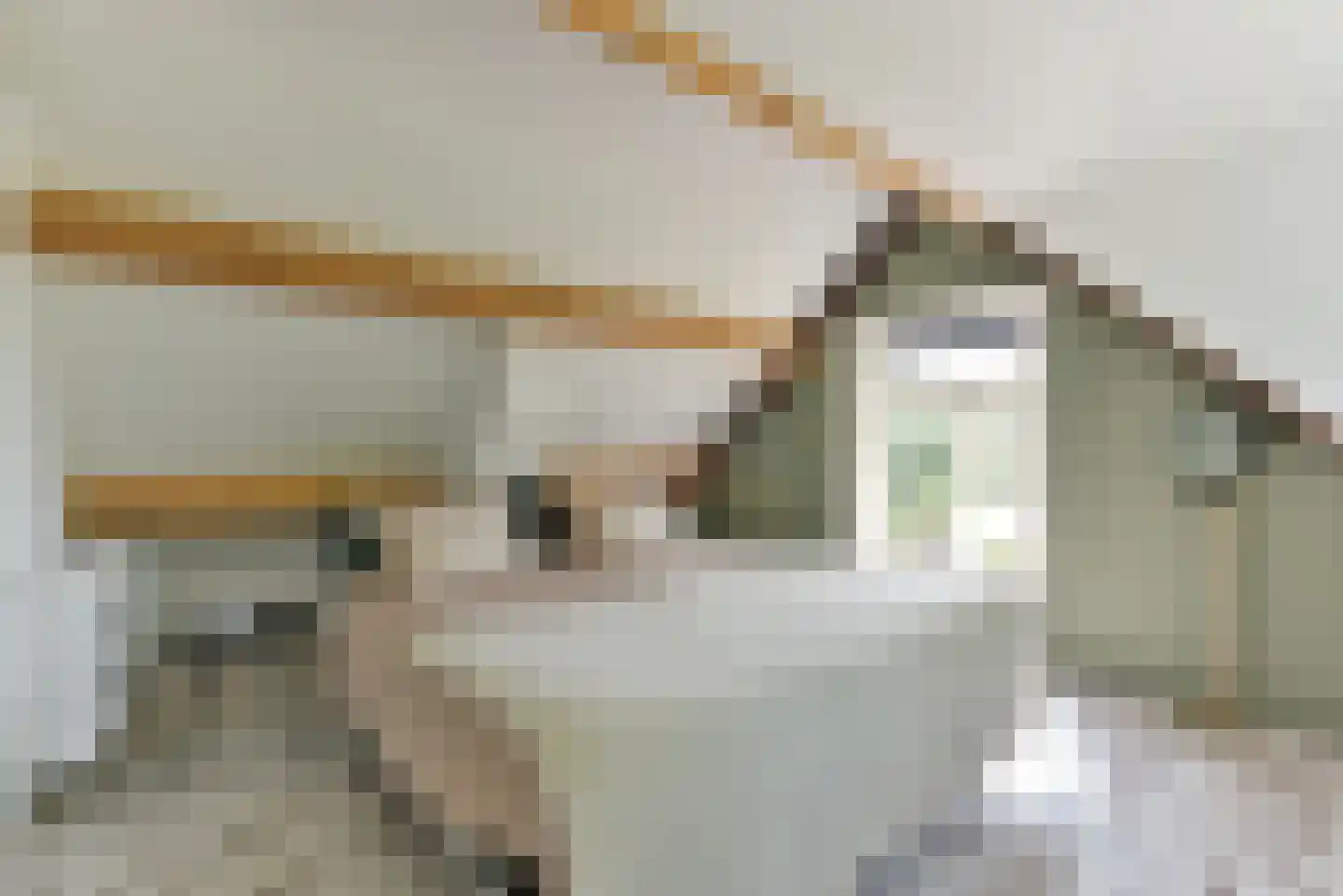 Leedijkerhout 13 Houten thumbnail 37